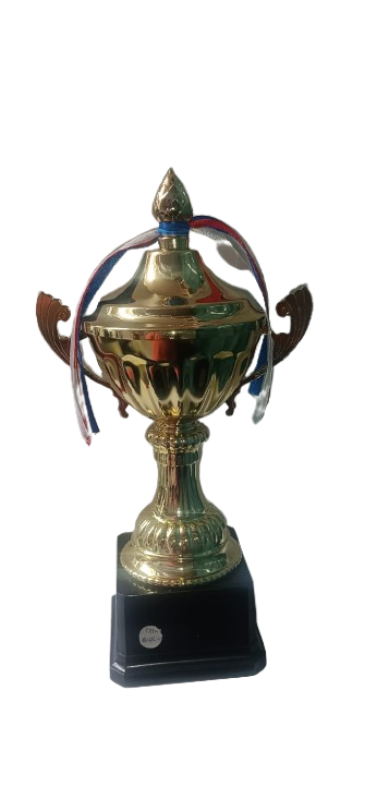 Gold Trophy with Ribbons 29 cms